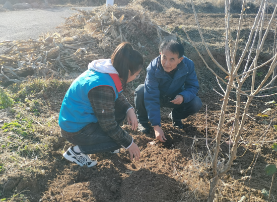 1763342654640815.png 1763342654640815.png